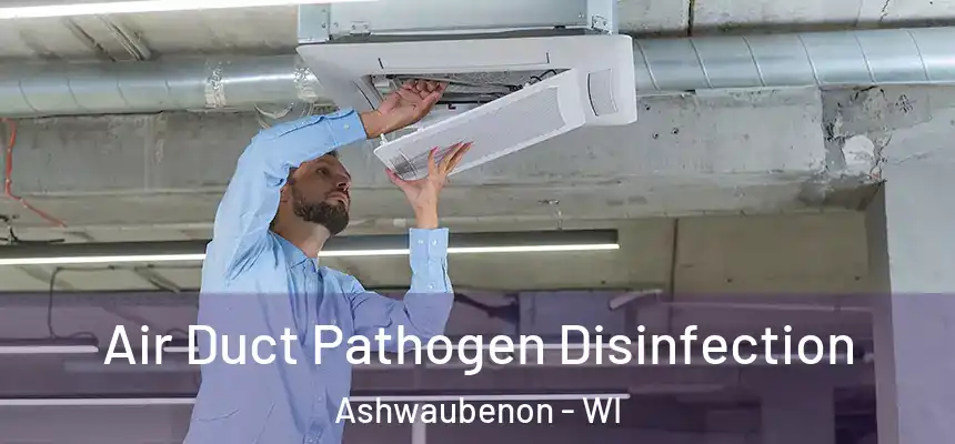  Air Duct Pathogen Disinfection Ashwaubenon - WI