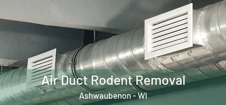  Air Duct Rodent Removal Ashwaubenon - WI