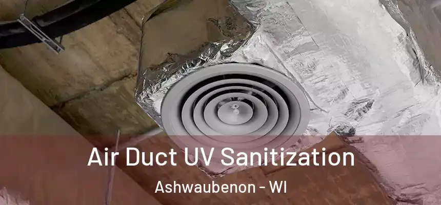  Air Duct UV Sanitization Ashwaubenon - WI