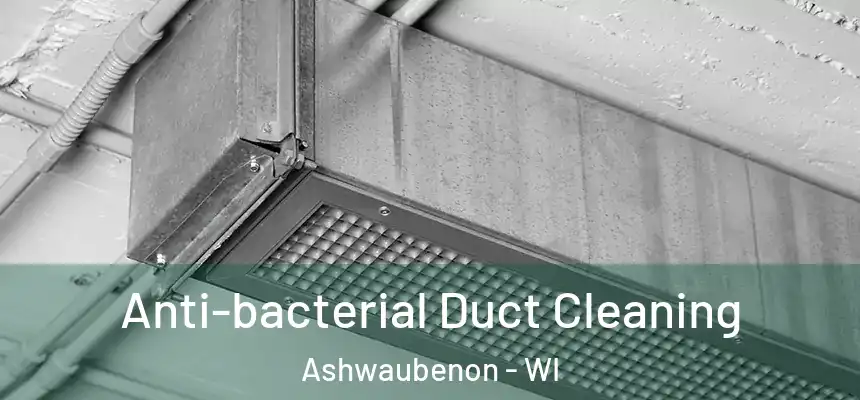 Anti-bacterial Duct Cleaning Ashwaubenon - WI