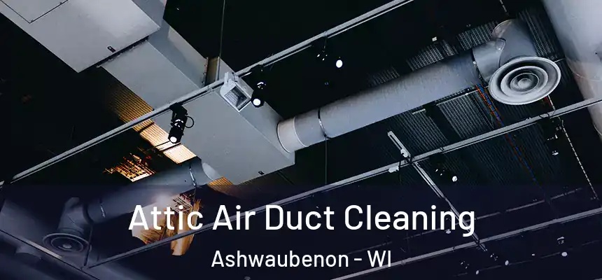  Attic Air Duct Cleaning Ashwaubenon - WI