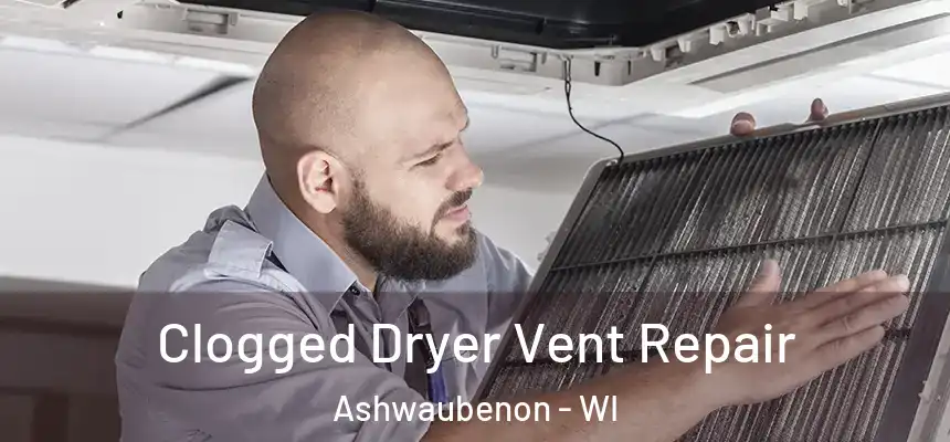  Clogged Dryer Vent Repair Ashwaubenon - WI