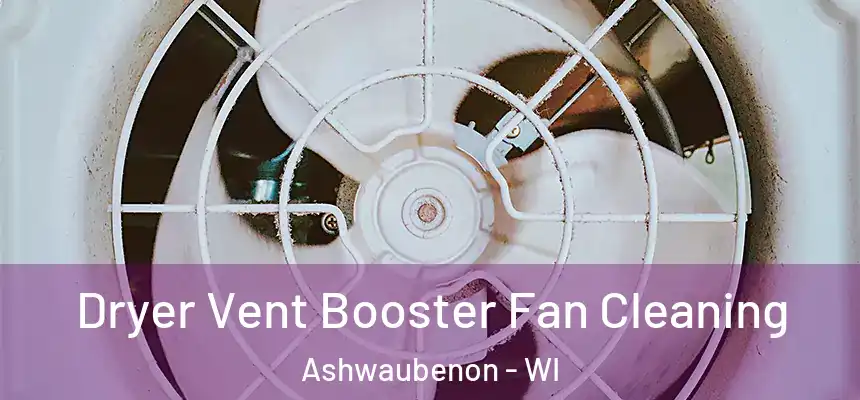  Dryer Vent Booster Fan Cleaning Ashwaubenon - WI