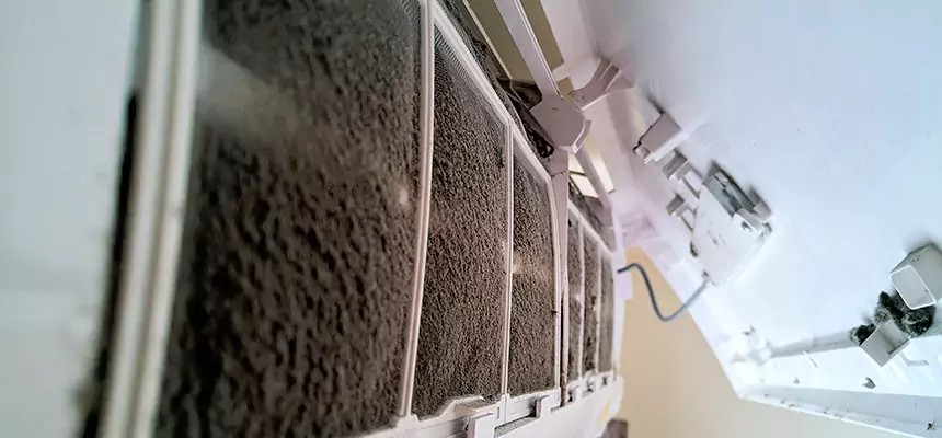 Preventive Air Duct Bacteria Removal in Ashwaubenon