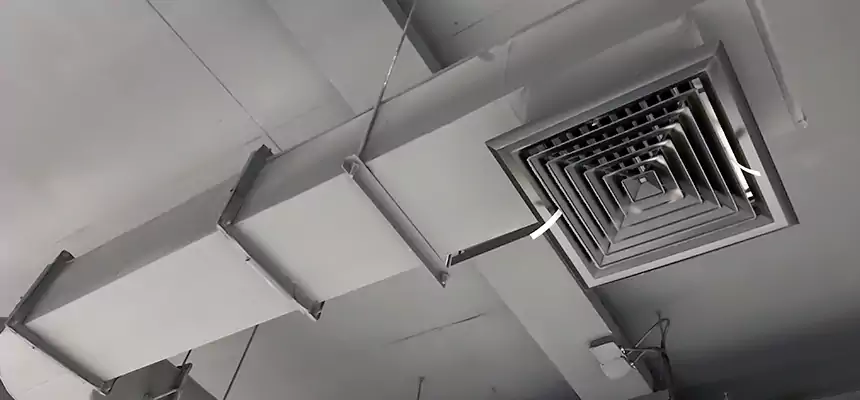 Our Pest Removal From Ducts Services in Ashwaubenon, WI