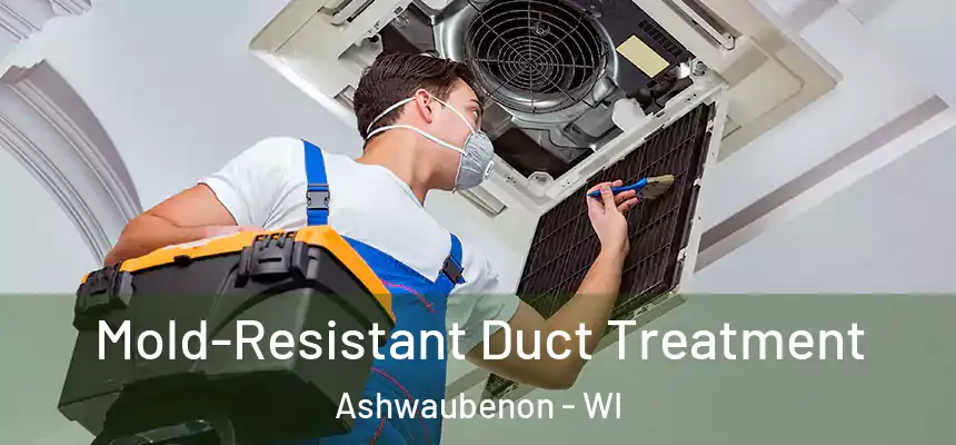  Mold-Resistant Duct Treatment Ashwaubenon - WI