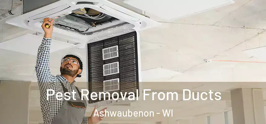  Pest Removal From Ducts Ashwaubenon - WI