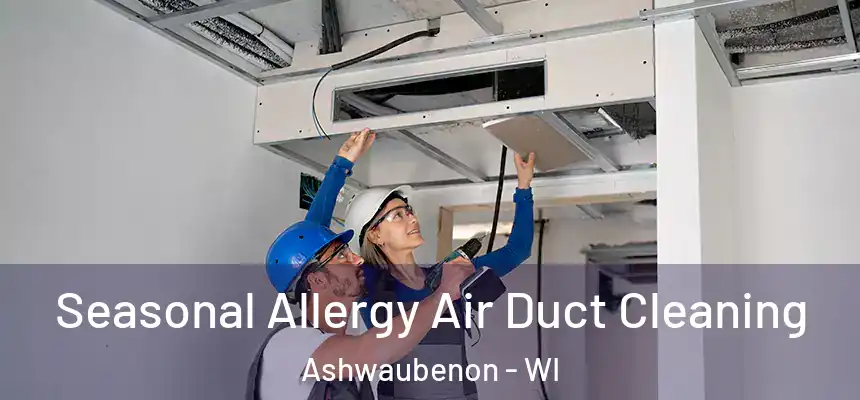 Seasonal Allergy Air Duct Cleaning Ashwaubenon - WI