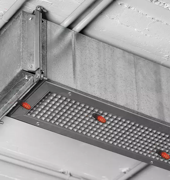 Affordable Insect Removal from Air Ducts in Ashwaubenon, WI