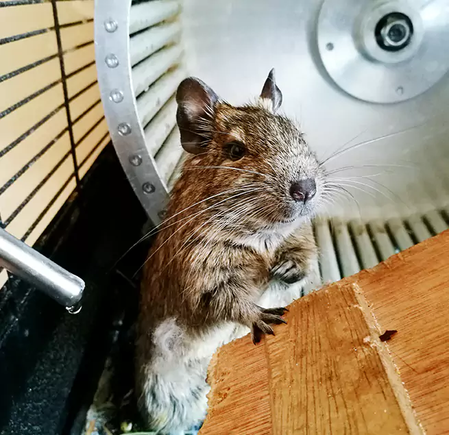 Why Homeowners & Businesses Trust Us Ashwaubenon, WI?