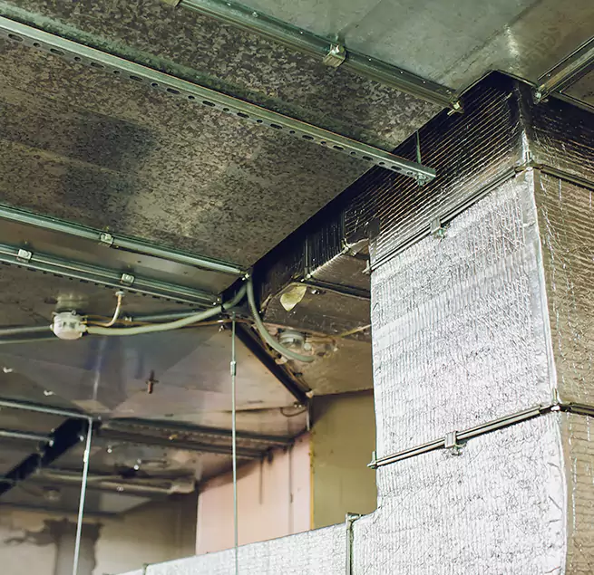 Why Homeowners & Businesses Trust Us in Ashwaubenon, WI?