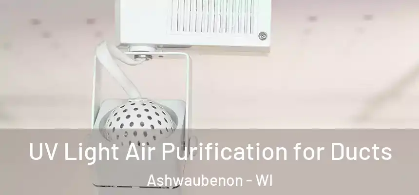  UV Light Air Purification for Ducts Ashwaubenon - WI