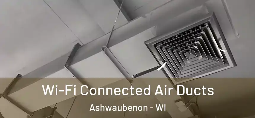  Wi-Fi Connected Air Ducts Ashwaubenon - WI